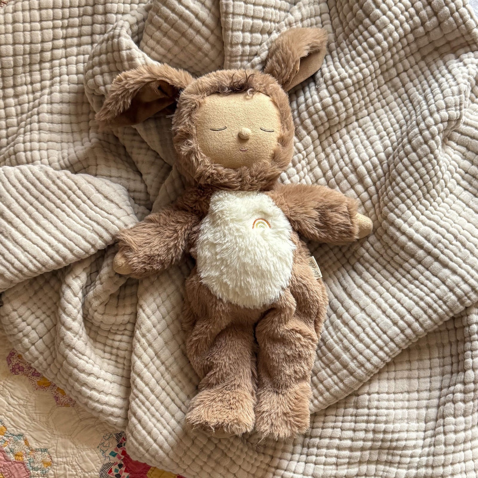 Dozy Dinkum Dog Digby Olli Ella