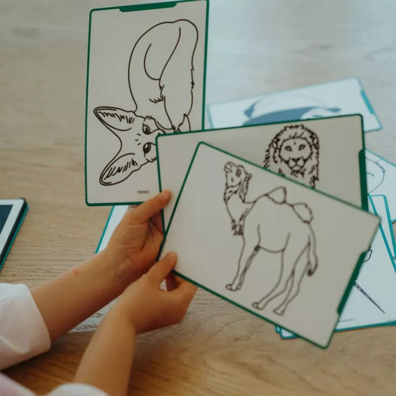 Set de plantillas Piratas y Animales del mundo Kidydraw - Kidywolf