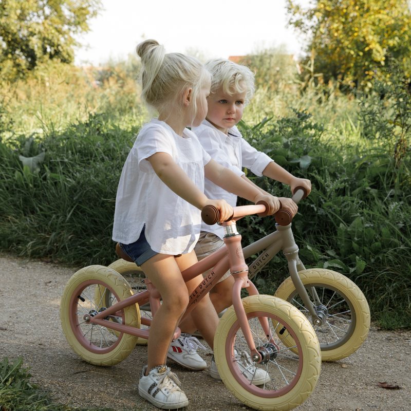 Bicicleta de equilibrio Rosa Little Dutch