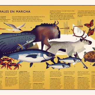 El curioso árbol prodigioso. Mundo natural