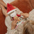 Rosa Muñeca Navidad 35cm Little Dutch