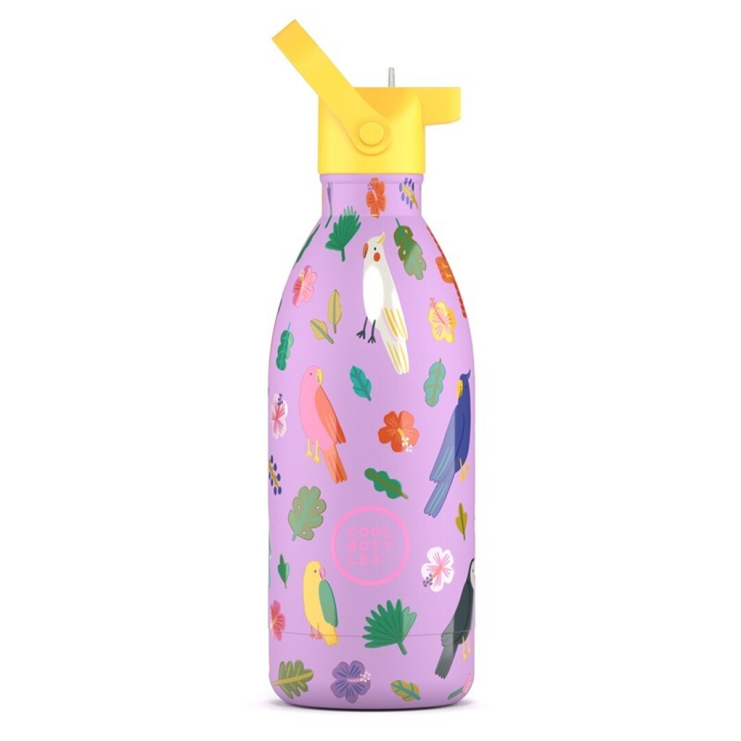 Botella Térmica Acero Cool Bottles Fly Free 500ml