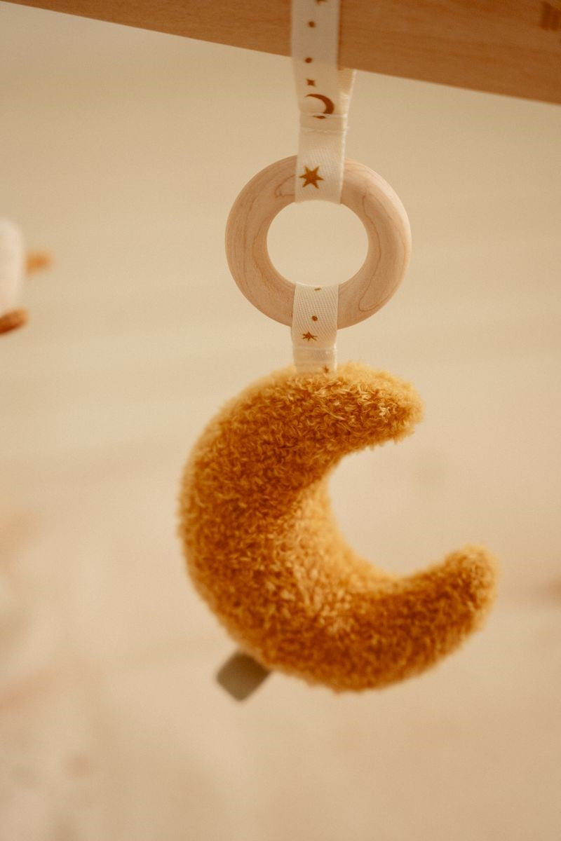 Gimnasio de madera Newborn Naturals Little Dutch