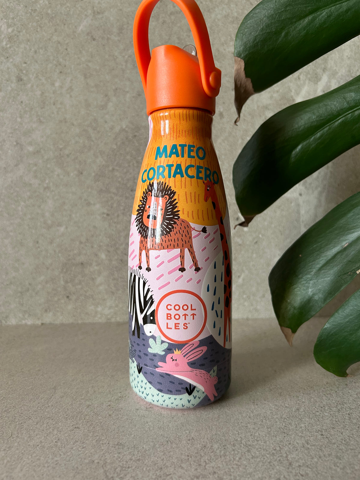 Botella Térmica Acero Cool Bottles Crazy