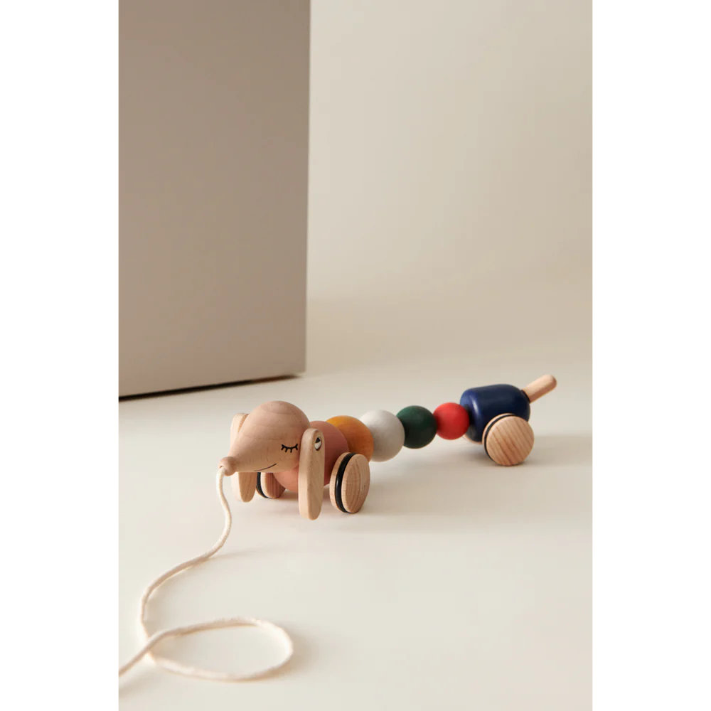 Perro de Arrastre Barthes Liewood