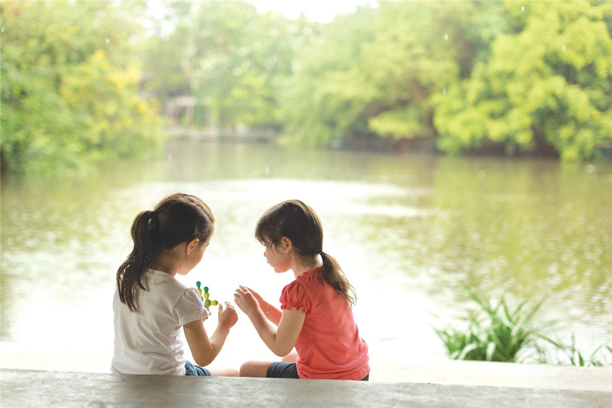 Mini Cactus en equilibrio - Plantoys
