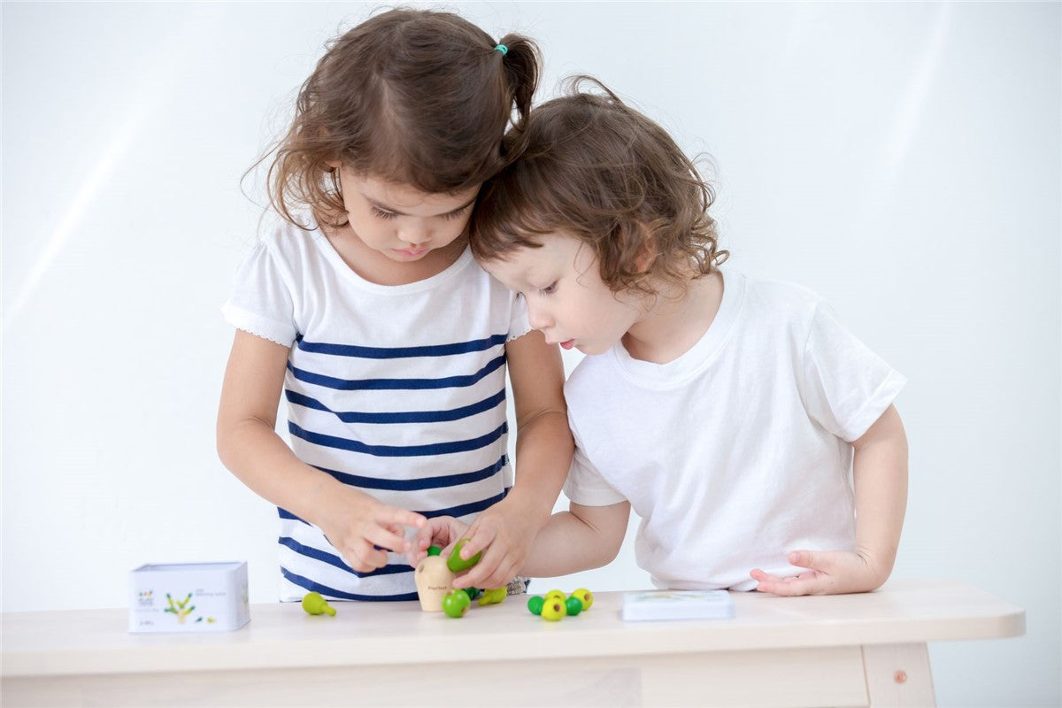 Mini Cactus en equilibrio - Plantoys