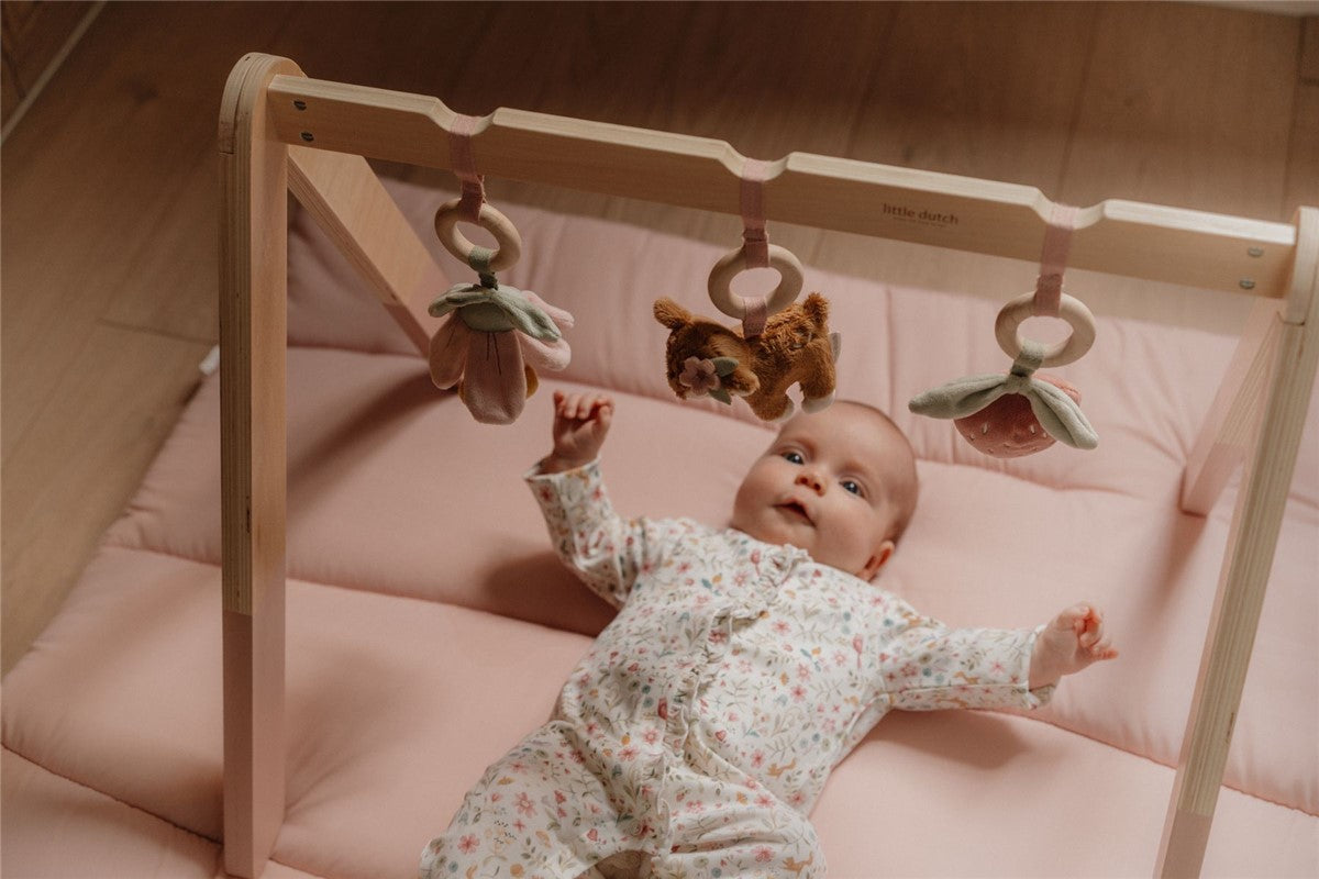 Gimnasio de madera rosa Fairy Garden Little Dutch