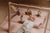 Gimnasio de madera rosa Fairy Garden Little Dutch