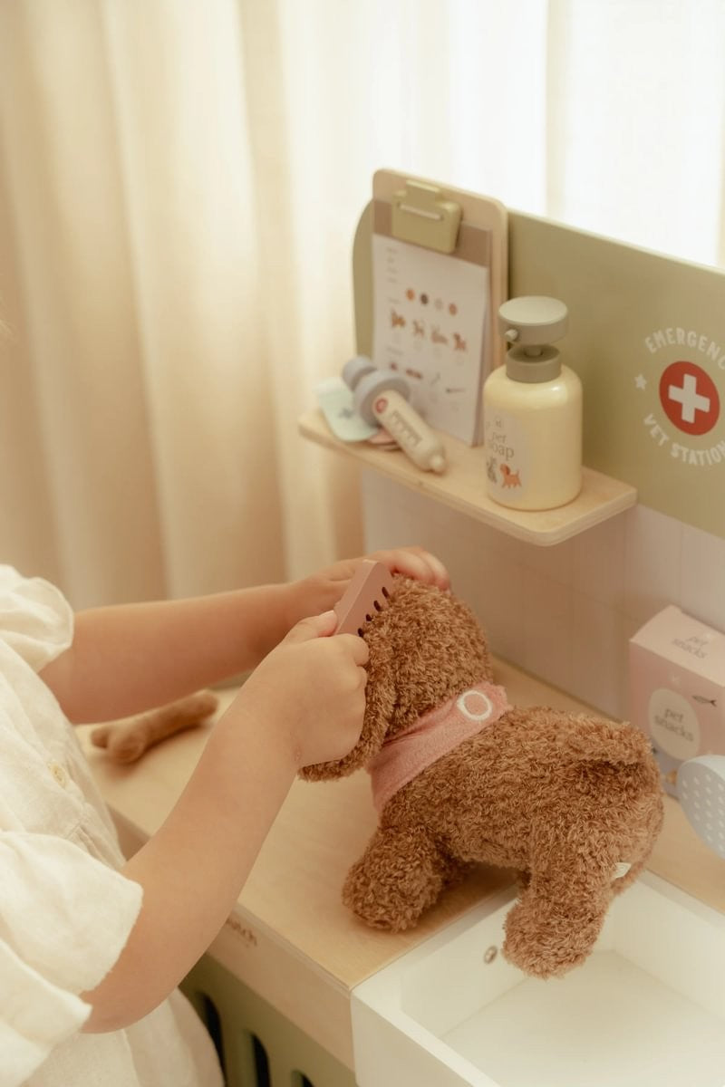 Clínica Veterinaria FSC de Little Dutch