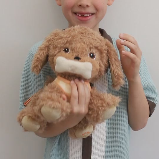 Goldie Dinkum dog Olli Ella