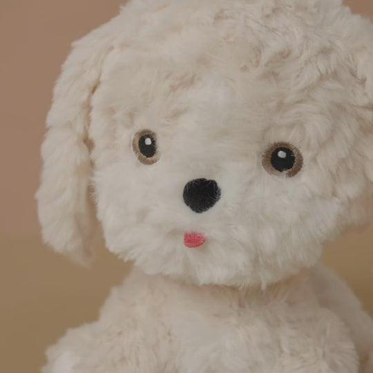 Cookie Dinkum dog Olli Ella