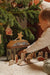 Belen FSC madera de Little Dutch