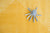 Alfombra de juego Toddlekind Earth Mostaza
