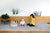 Alfombra de juego Toddlekind Earth Gris Dove