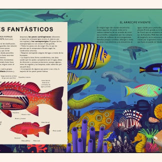 El curioso árbol prodigioso. Mundo natural