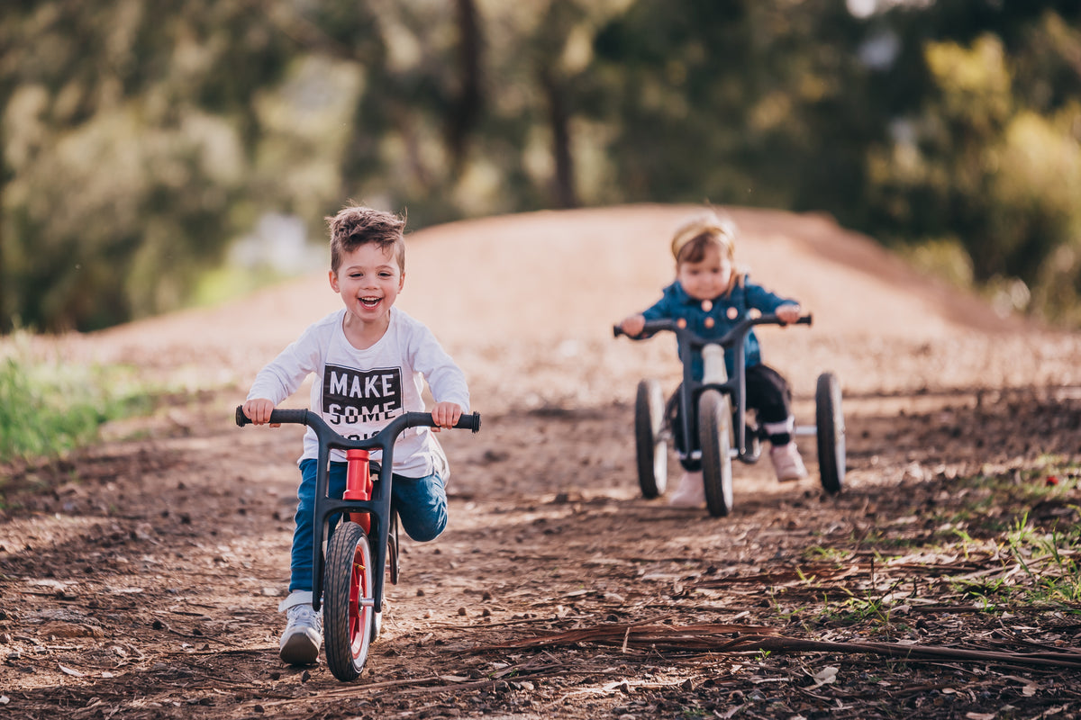 Wishbone Bici RE2 3 en 1 negra