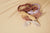 Pack 2 Diademas con lazo Henny | Rosa Mostaza de Liewood