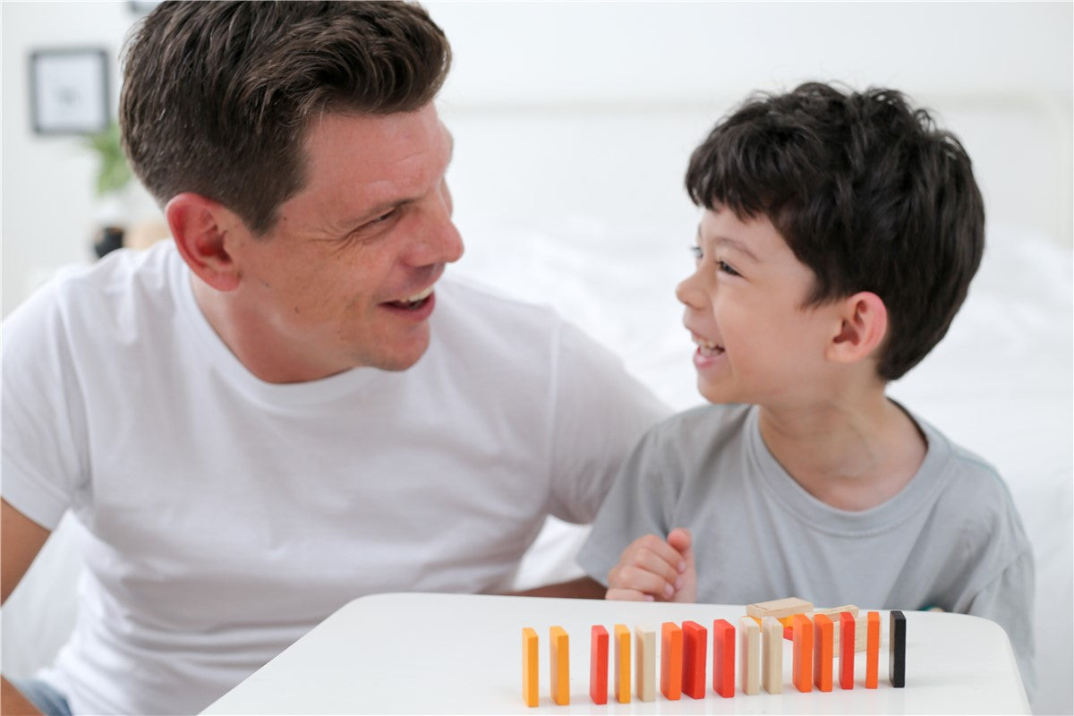 Carrera de Dominó Plantoys 22 piezas