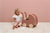 Carro para Muñeca FSC de Little Dutch