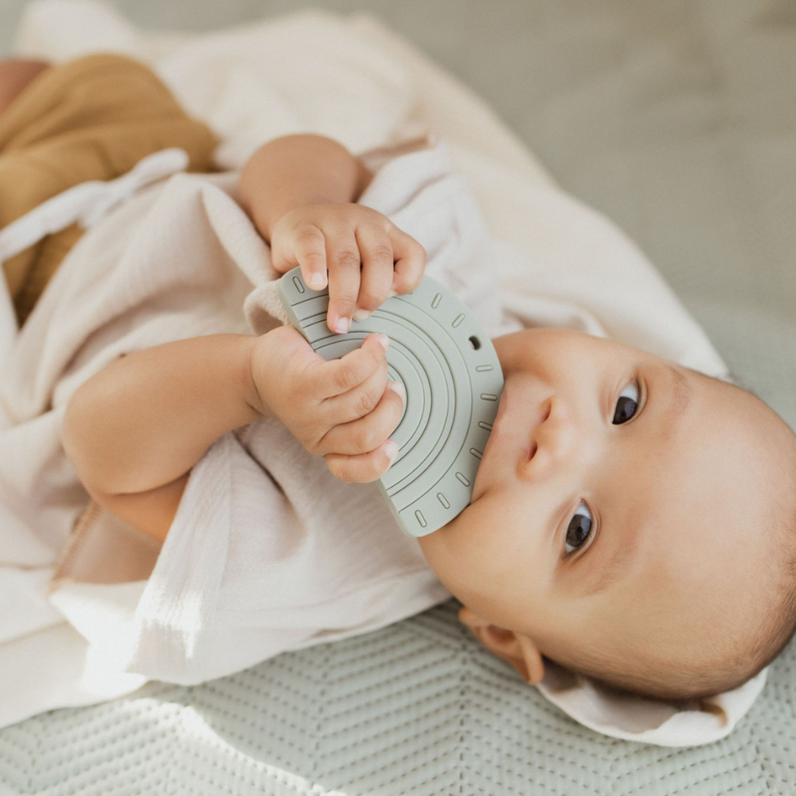 Mordedor Rainbow Eucalyptus de PPT