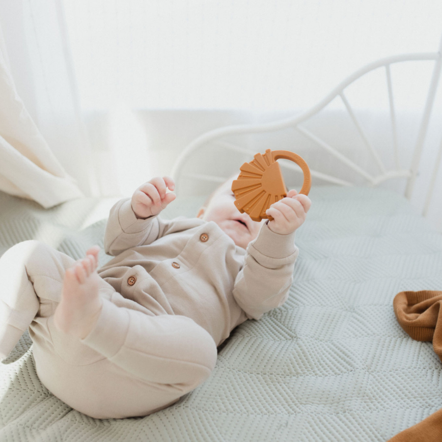 Mordedor Sunshine de PPT