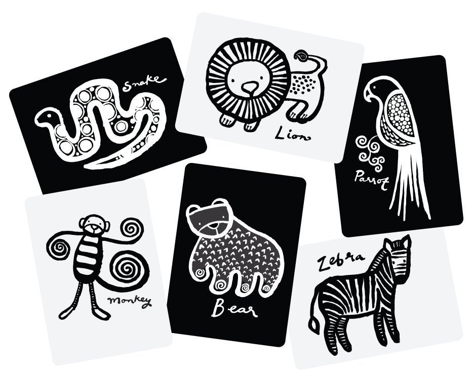 Tarjetas de Wee Gallery Jungla Art Cards contraste