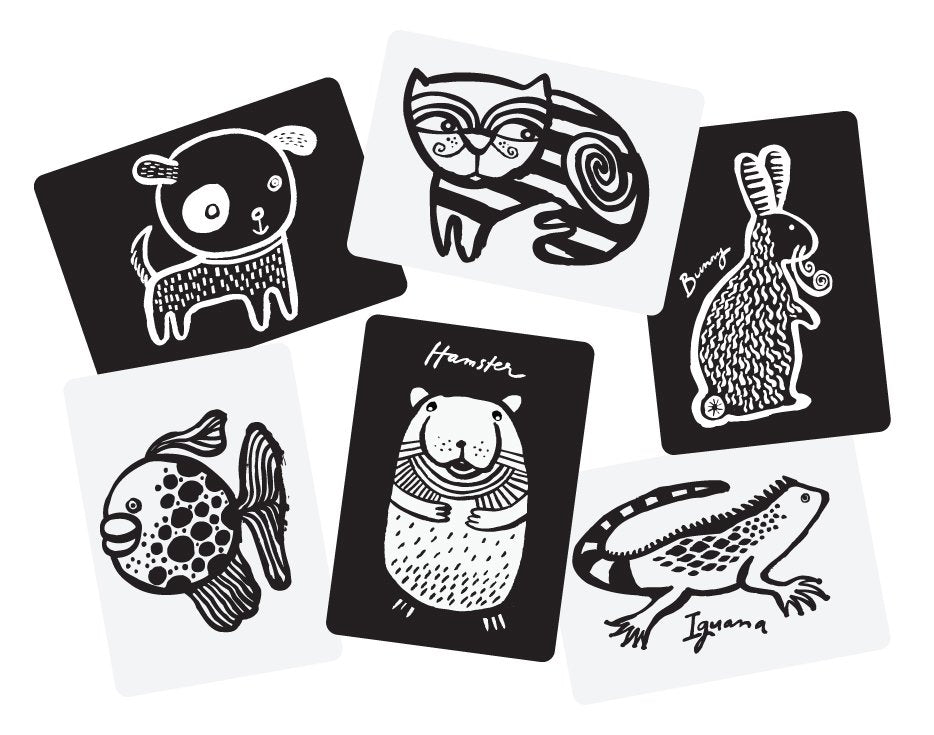 Tarjetas de Wee Gallery Mascotas Art Cards contraste