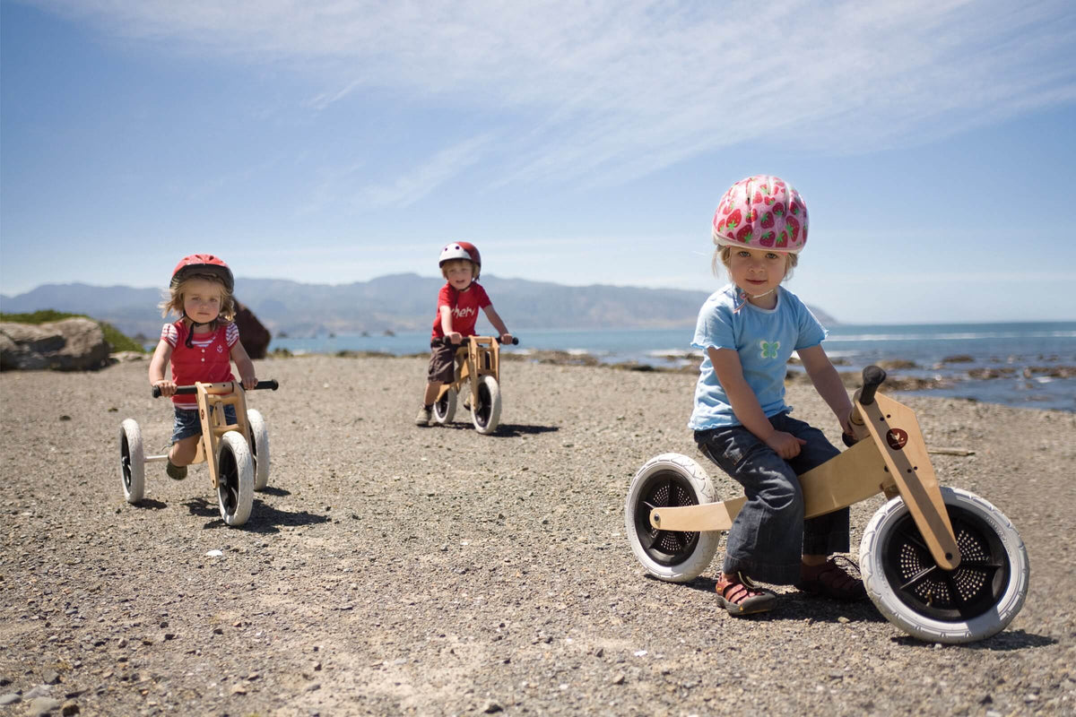 Wishbone Bici Original 3 en 1