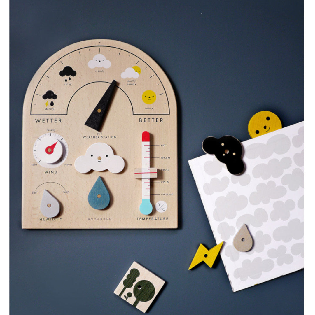 Estación meteorológica de Moon-Picnic