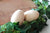 Duo Egg Shakers de BBnoise