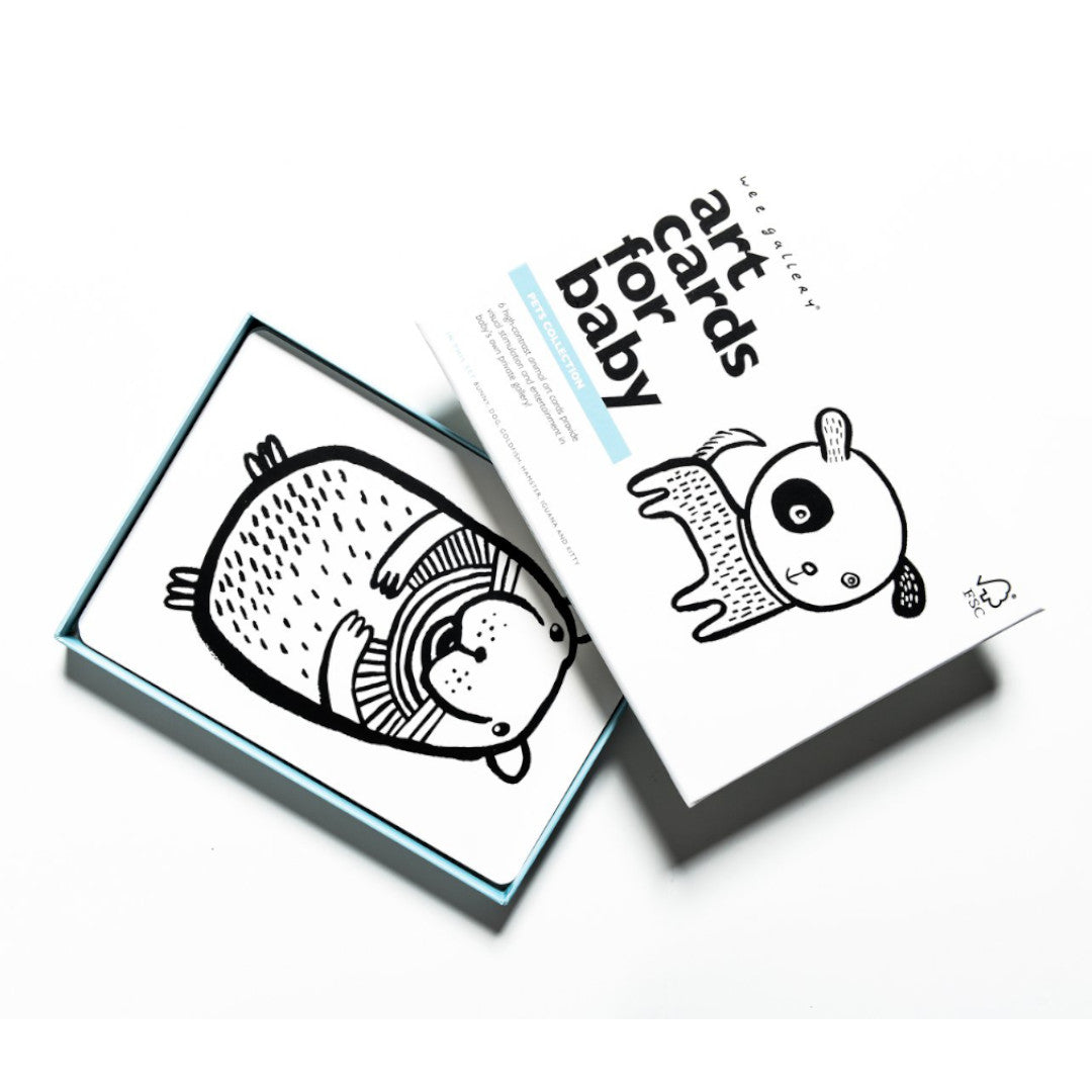 Tarjetas de Wee Gallery Mascotas Art Cards contraste
